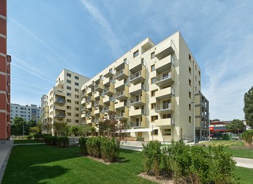 Housing Estate Dr. Natterergasse - 