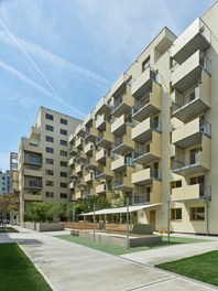 Housing Estate Dr. Natterergasse - 